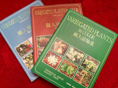 Rare Variegated Plants Books Rare Variegated Plants Books
